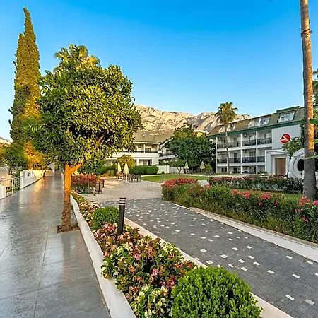 Armas Otel 4*